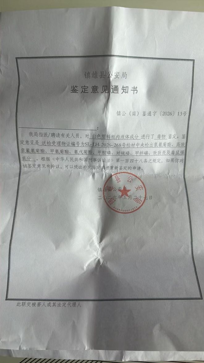 完美遗传杨幂美貌,12岁小糯米近照却揭开残酷陪伴真相