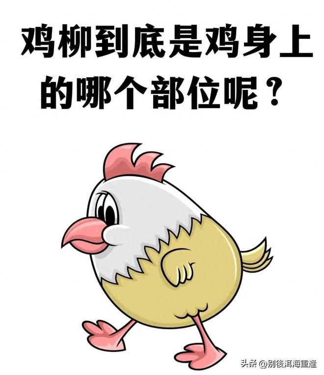 郑钦文首轮出局称有很多短板要补，吴易昺惜败德约被赞完成任务