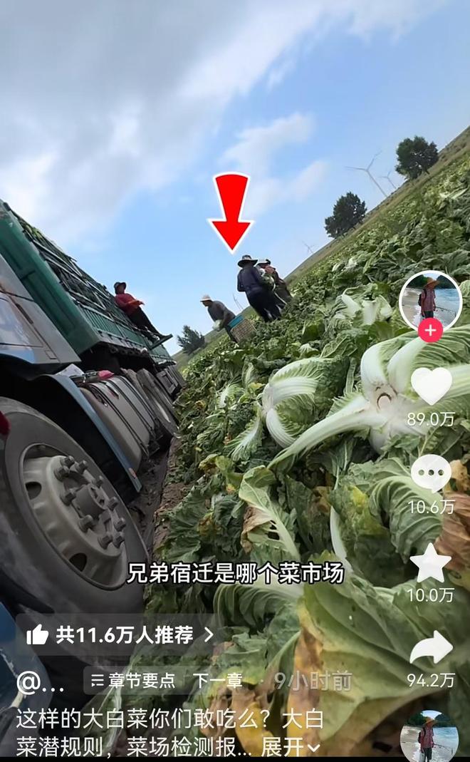 曾差点嫁给孙浩,却主动追富豪丁克一辈子,如今是冯小刚新片女主